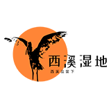 微信